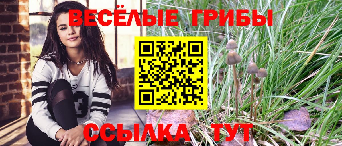 Донской  Псилоцибиновые грибы Psilocybine cubensis  Вход с VPN 