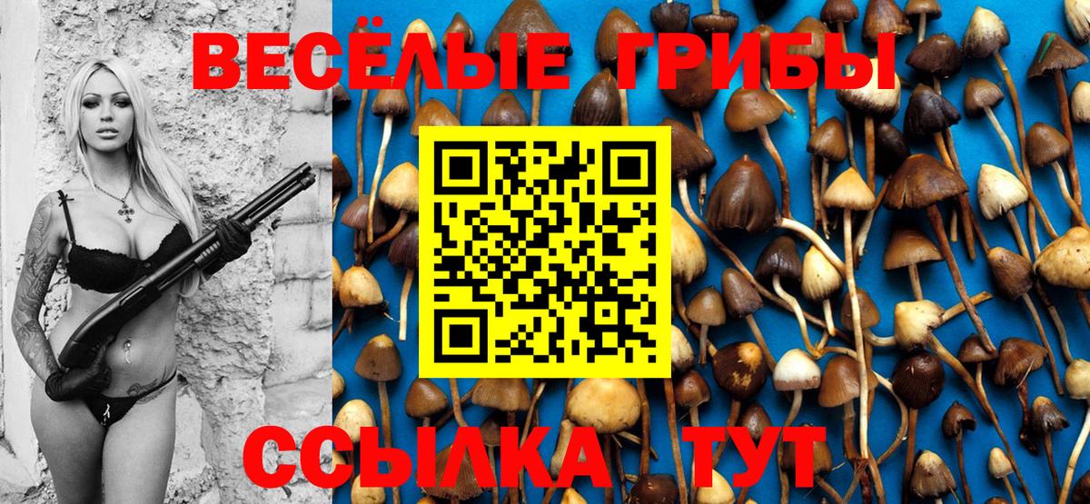 Галлюциногенные грибы Magic Shrooms Донской